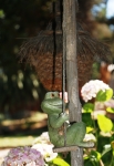 rana jardin