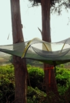 Carpas Voladoras (Tent-Sile)